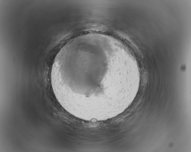 X0000116421399201001191440