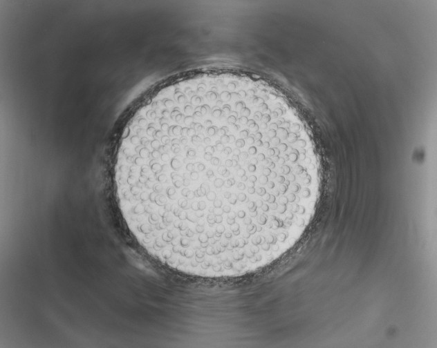 X0000116421400201001191440