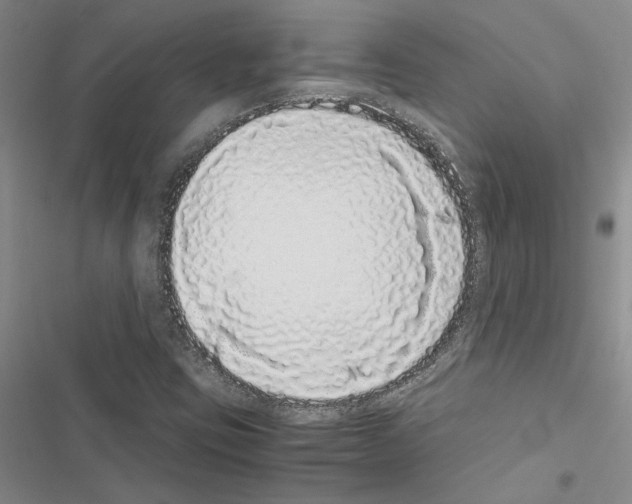 X0000116421403201001191440