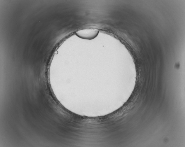 X0000116421404201001191440