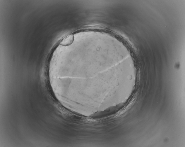 X0000116421405201001191440