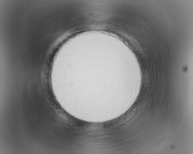 X0000116421406201001191440