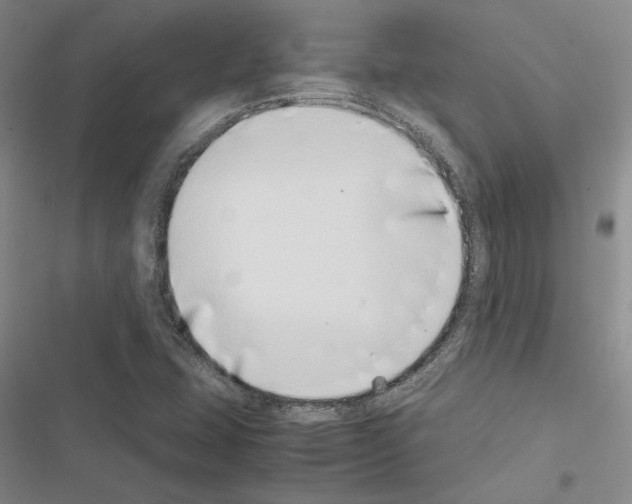 X0000116421407201001191440