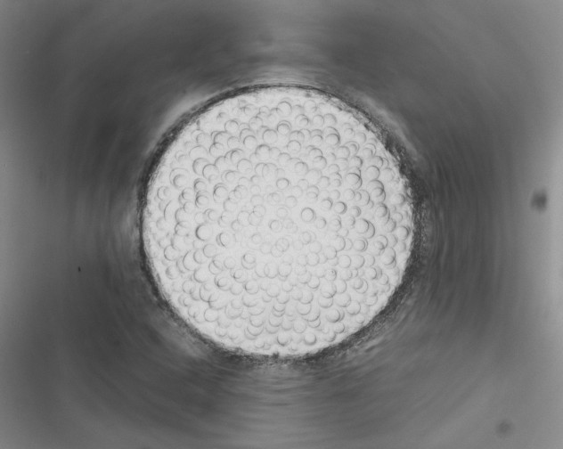 X0000116421408201001191440