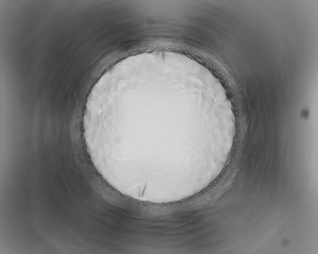 X0000116421409201001191440