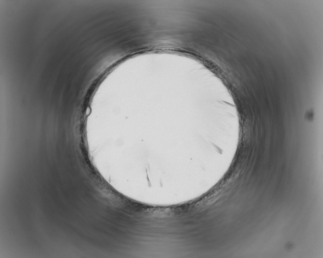 X0000116421410201001191440