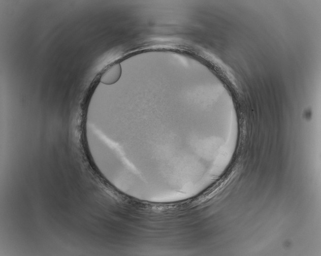 X0000116421411201001191440