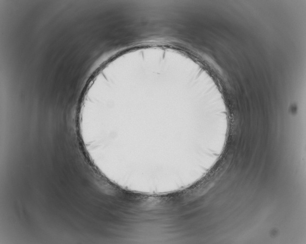 X0000116421412201001191440