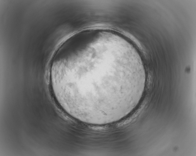X0000116421413201001191440