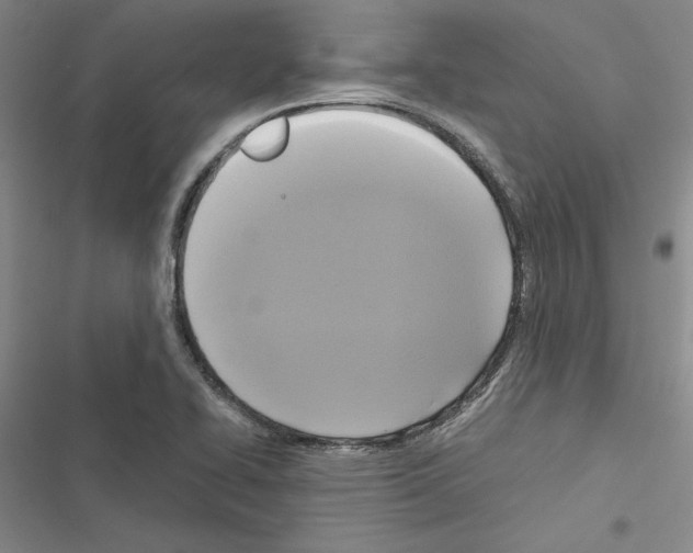X0000116421414201001191440