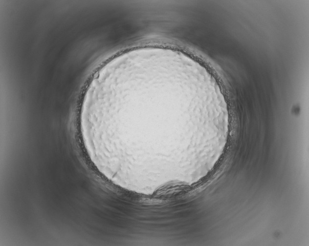 X0000116421415201001191440