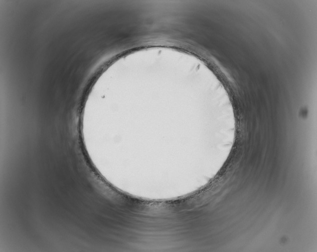 X0000116421416201001191440
