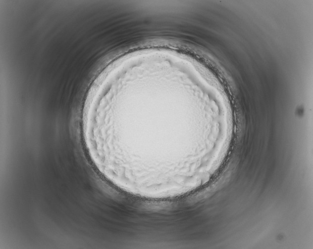 X0000116421417201001191440