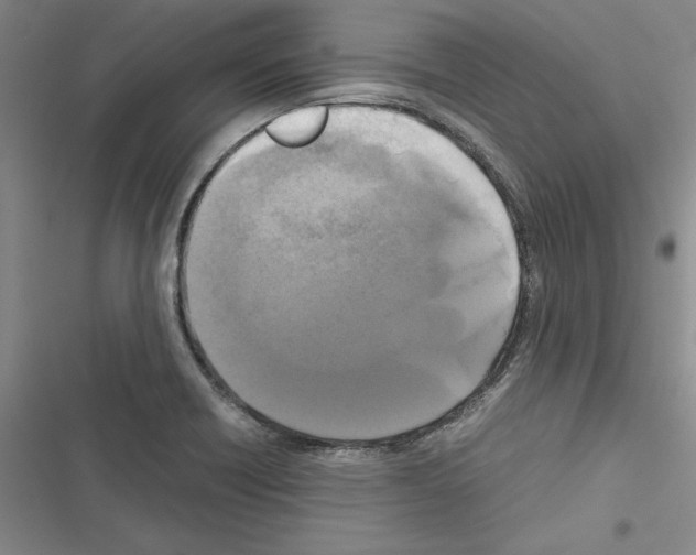 X0000116421418201001191440