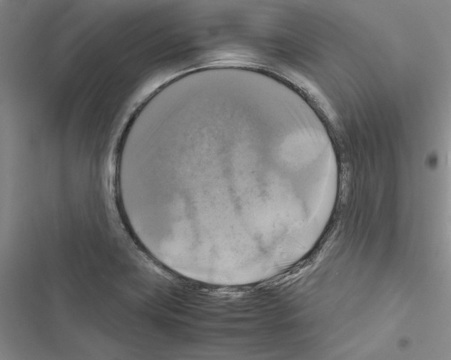 X0000116421419201001191440