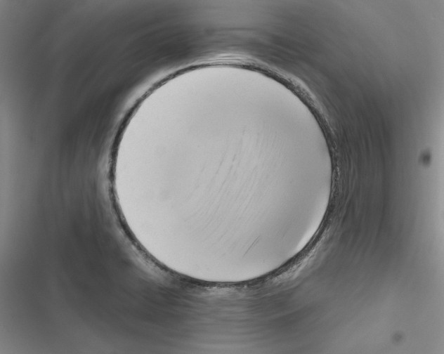 X0000116421422201001191440