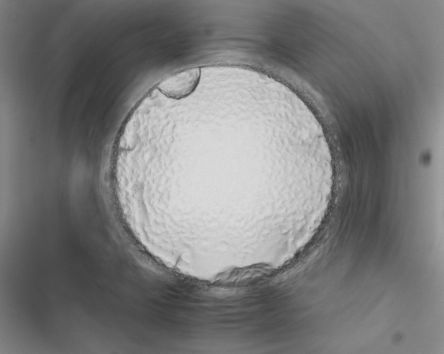 X0000116421423201001191440