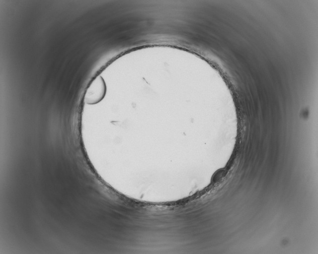 X0000116421424201001191440