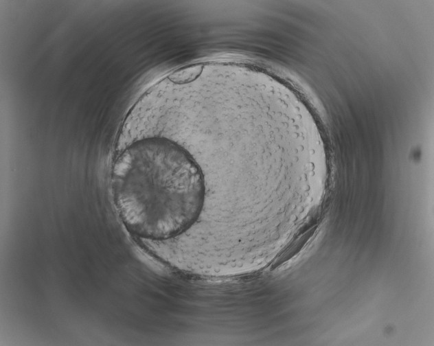 X0000116421425201001191440