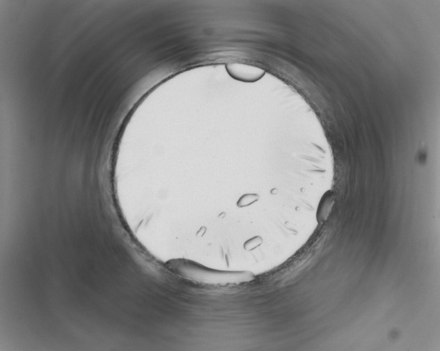 X0000116421426201001191440