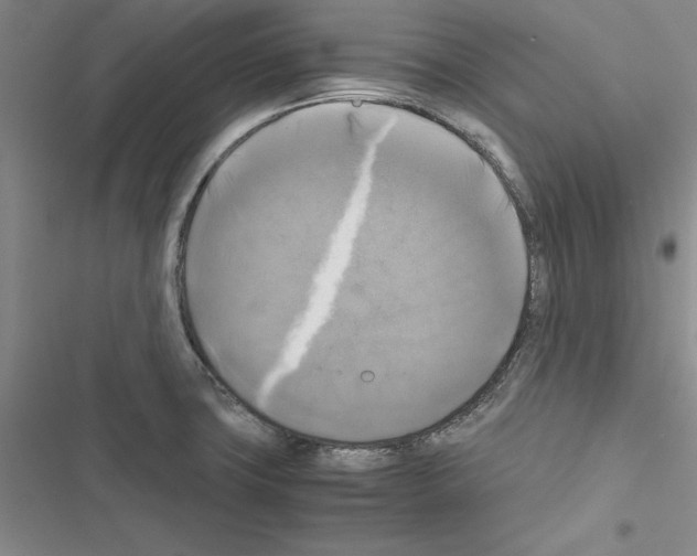 X0000116421427201001191440