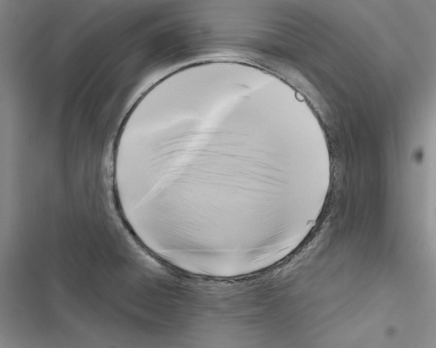X0000116421428201001191440