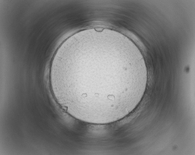 X0000116421431201001191440
