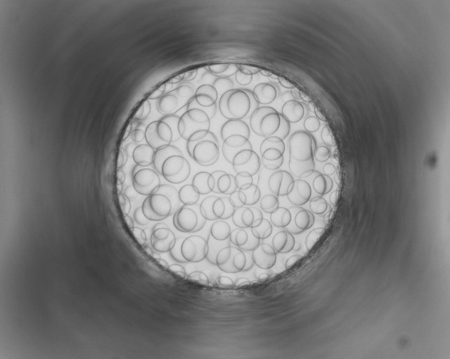 X0000116421432201001191440