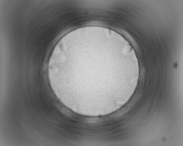 X0000116421435201001191441