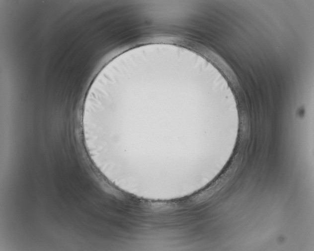X0000116421436201001191441