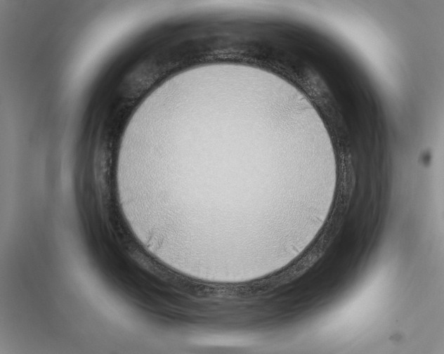 X0000116421438201001191441
