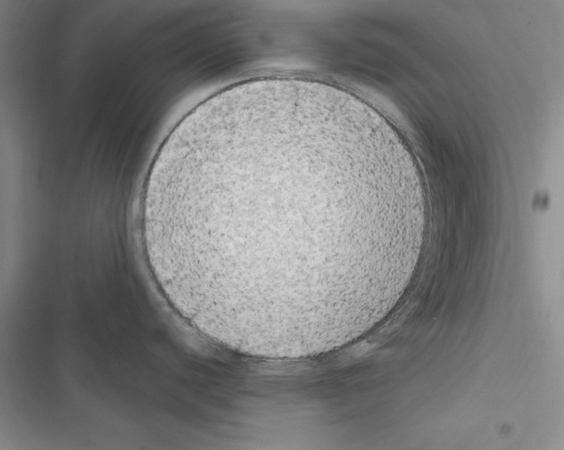 X0000116421440201001191441