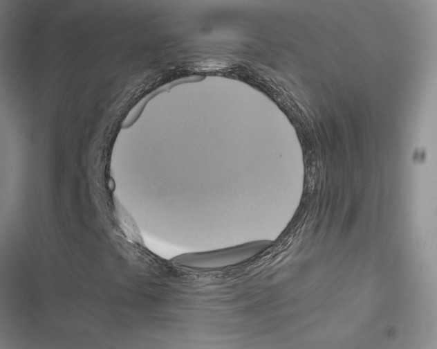 X0000116421441201001191440