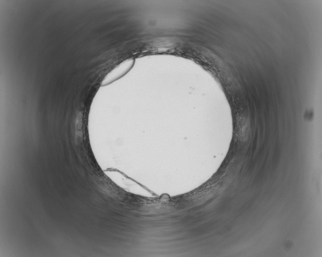 X0000116421442201001191440