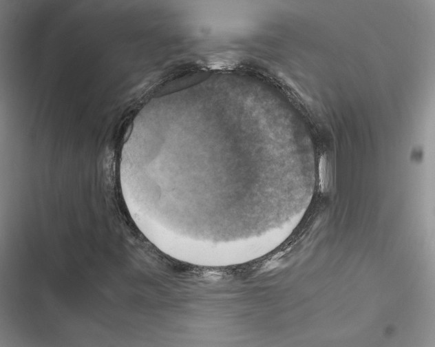 X0000116421443201001191440