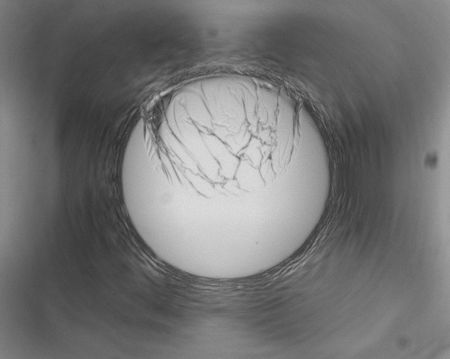 X0000116421444201001191440