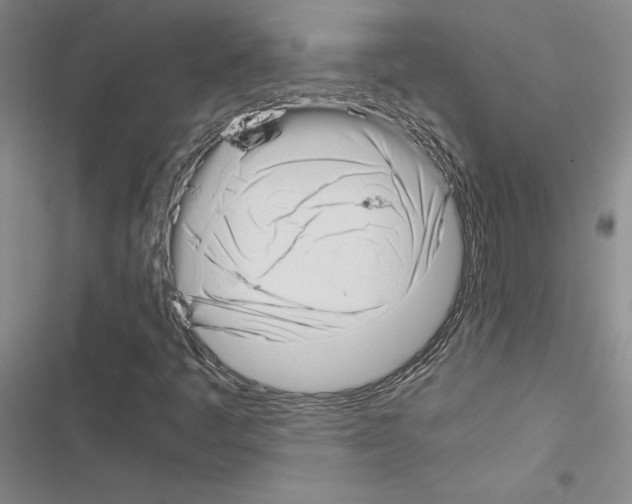X0000116421445201001191440