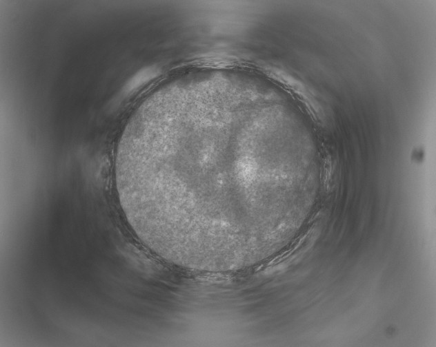 X0000116421446201001191440