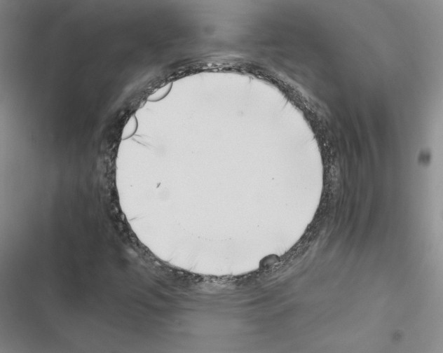X0000116421447201001191440