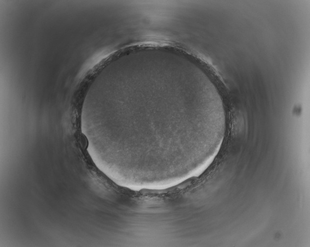 X0000116421448201001191440