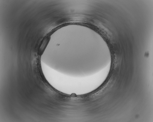 X0000116421449201001191440