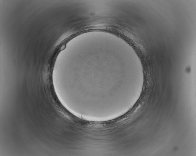 X0000116421450201001191440