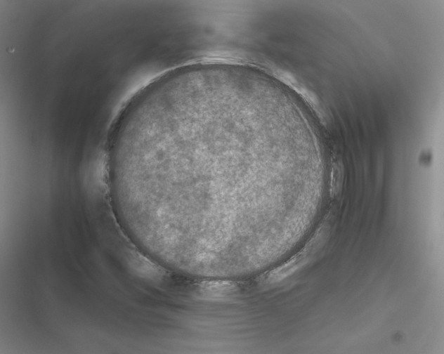 X0000116421454201001191440
