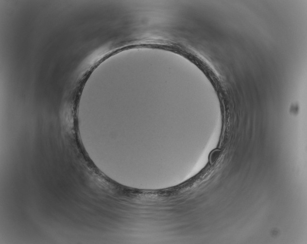 X0000116421455201001191440
