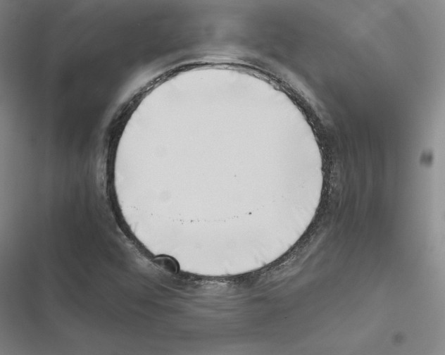 X0000116421456201001191440