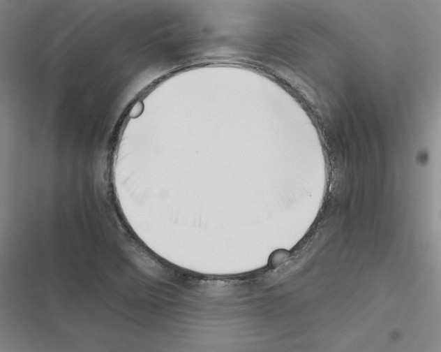 X0000116421458201001191440