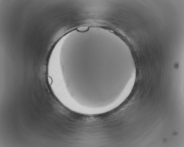 X0000116421459201001191440