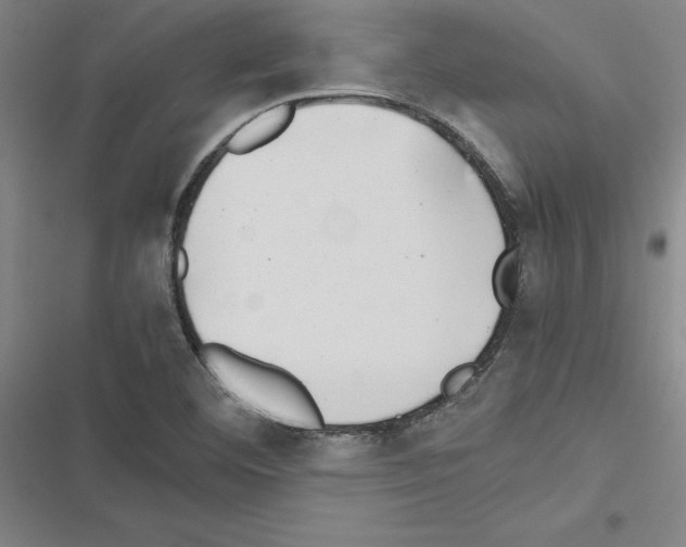X0000116421460201001191440
