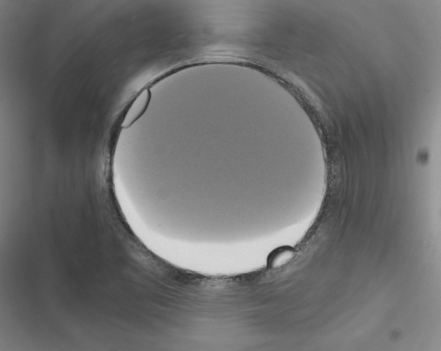 X0000116421461201001191440