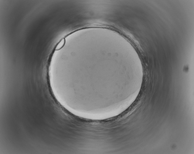X0000116421463201001191440